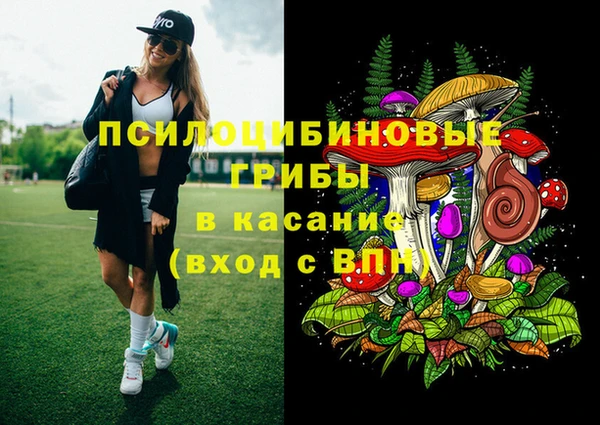 Альфа ПВП Рославль