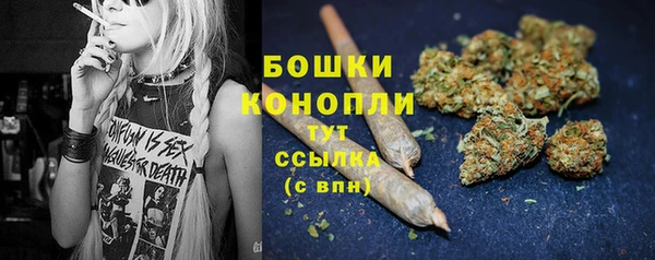 стафф Ростов