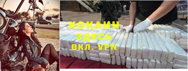 стафф Ростов