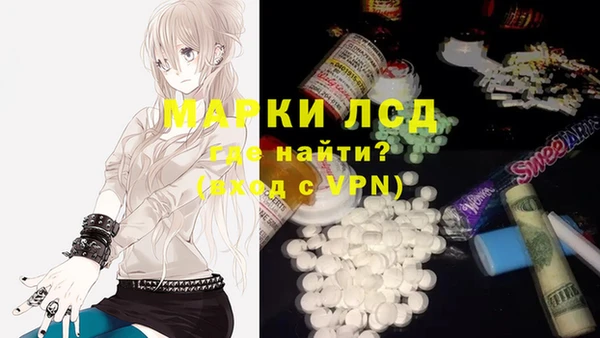стафф Ростов