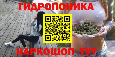 спайс Владивосток